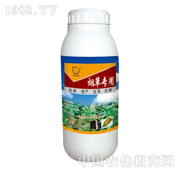 ����-���݌���