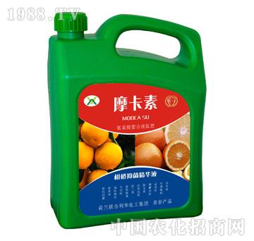 �̳��־����AҺ-Ħ����-��(qi��ng)о���H