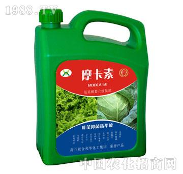 �~���־����AҺ-Ħ����-��(qi��ng)о���H