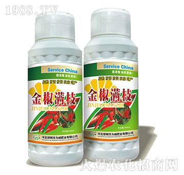 �𽷝M֦-�����~���-���