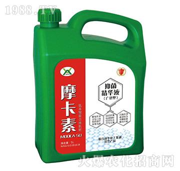 �־����AҺ���V�V�ͣ�-Ħ����-��(qi��ng)о���H