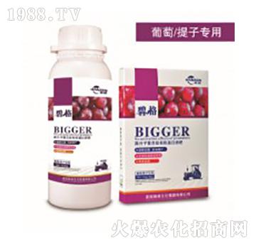 �������ӌ��ø߷��ӏͺ����ЙC����Һ��-�̸�-�ɭ�r�I(y��)