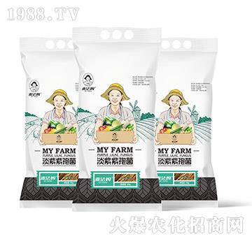 �������߾�-��������