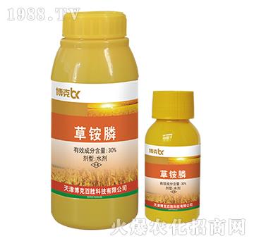 30%���@�-���˰ل�