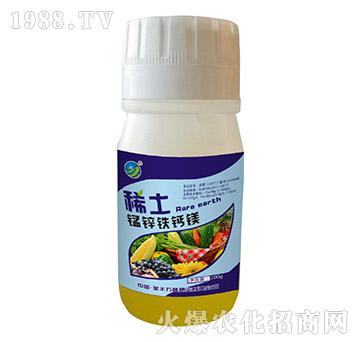 ϡ���i�\�F�}�V-���S�f(w��n)¡