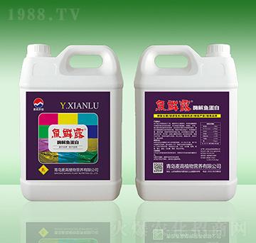 �~(y��)�r¶��ø���~(y��)����-���u����