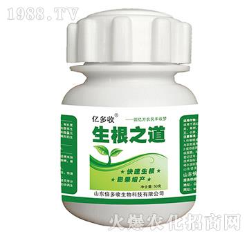 ����֮��-�|����