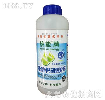 �������Ǵ��}���V�\-��?t��ng)����? width=