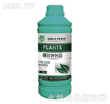 ���\��}�V-��@���S-���S�ʘI(y��)