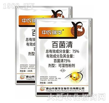 75%�پ���-���A����