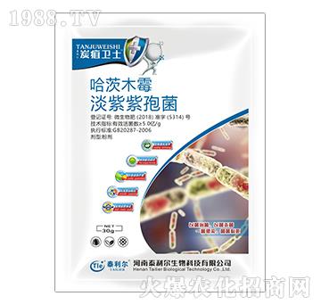 ����ľù���������߾�-̿���l(w��i)ʿ-̩����