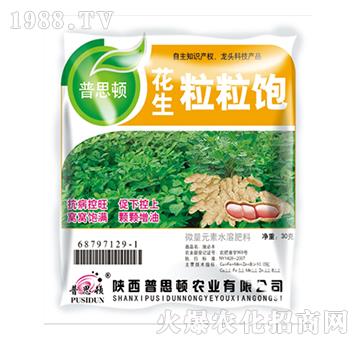 ���������-��˼�D�r�I(y��)