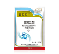 6%�ľ���ȩ-��ؐؐ