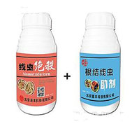 ���x�^��+���Y���x����