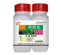 25%�ࡤ����������