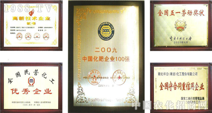 �������ƣ����F(tu��n)�������ɷ����޹�˾