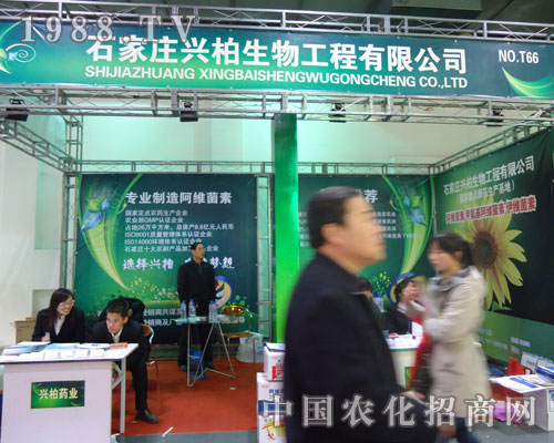 ʯ���f�d�������ںӱ�ʡֲ��������������