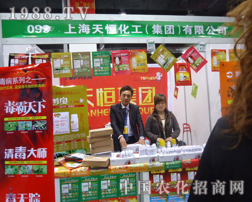 �Ϻ���㻯����������