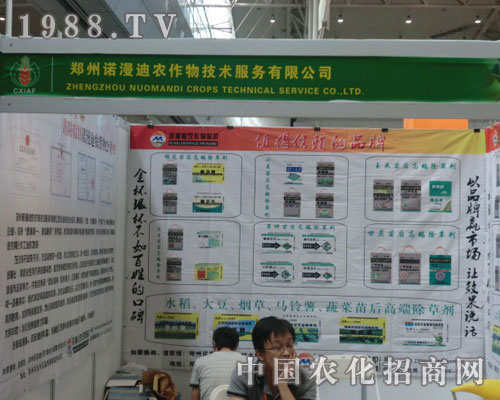 �������Z���Ϲ�˾�ڵ�ʮһ���½��r(n��ng)����(hu��)��������