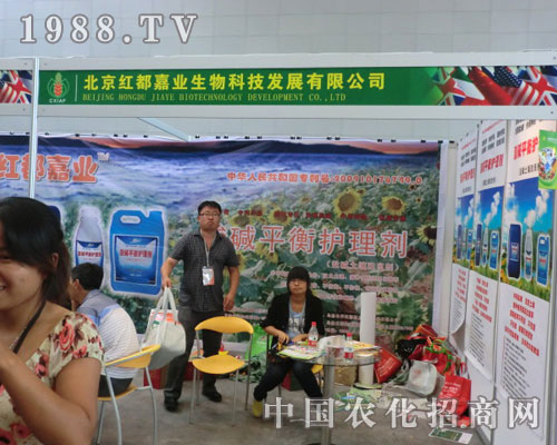 �����t���ΘI(y��)���½��r(n��ng)������չ�L��