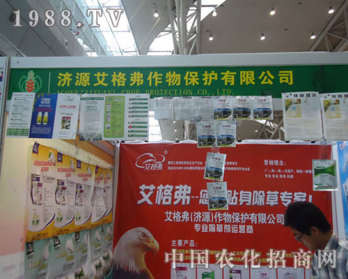 ���񸥡������N�����݌�����