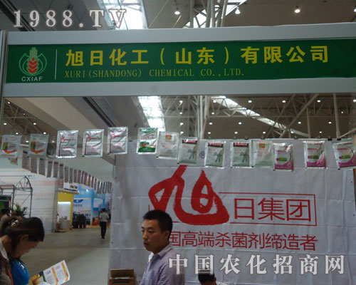 ����ˎ��������!