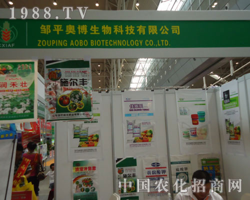 �x���ˊW�������������x���˳ɹ�֮·