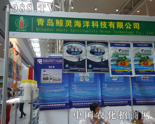 ���u�L�`����Ƽ������\�Q��Ч��