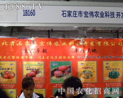 ʯ���f�ꂥ�r(n��ng)�I(y��)�ڝ�(j��)��ֲ����(hu��)��ȡ���x�ͳɿ�