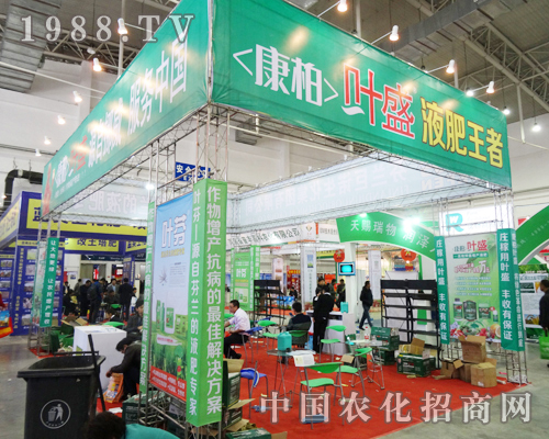 �������~ʢ��2013�|����ʡ���Ͻ��ו��ϵ�����