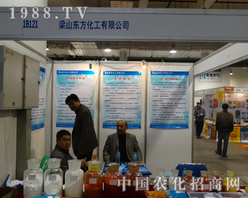 ��ɽ�|�����������˵�19�Ý�(j��)��ֲ����(hu��)