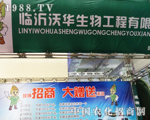 ���A���﹤��2013ɽ�|ֲ���p�����ϵ�����