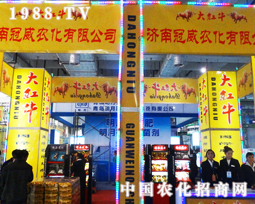 ��(j��)�Ϲ�����2013��ɽ�|ֲ����(hu��)�ϴ�Ů���