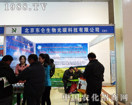 �|�����չ�ڰˌúʝ��r(n��ng)�Y��