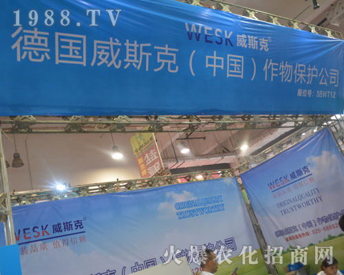 ����˹�˅���2016����ֲ���p����