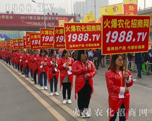 2017��ɽ�|ֲ����(hu��)���r(n��ng)������Ч����(qi��ng)��