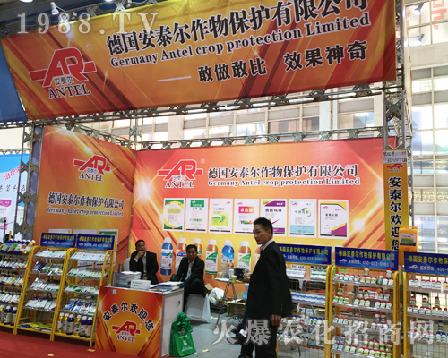 ����̩��