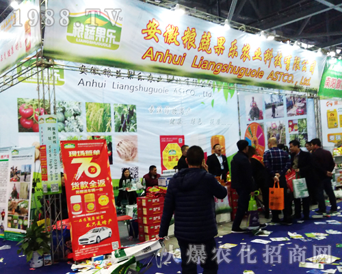 �Z�߹���(l��)1