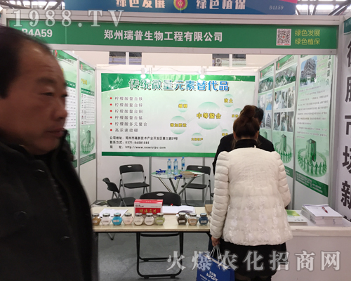 �������������33��ȫ��ֲ���p����