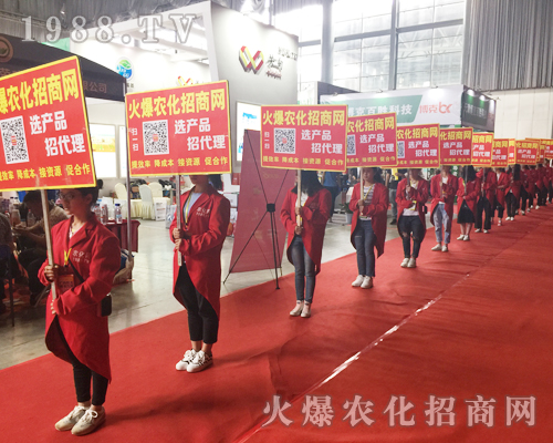 �o̎�����r(n��ng)���W(w��ng)���M�۱M�ǻ𱬼t��