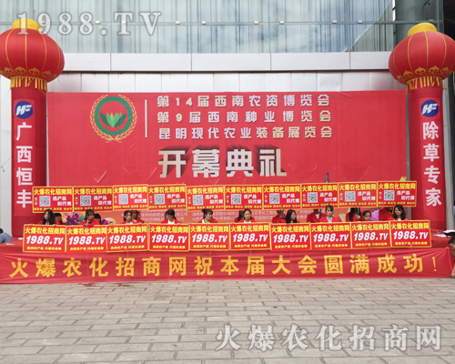 ��ʮ�Č������r(n��ng)���[���ϻ��r(n��ng)���W(w��ng)��Ӣ�ɳ�������(zh��n)����