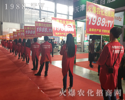  2017�����r(n��ng)�Y����1988.TV�������F(xi��n)�����P(gu��n)ע��