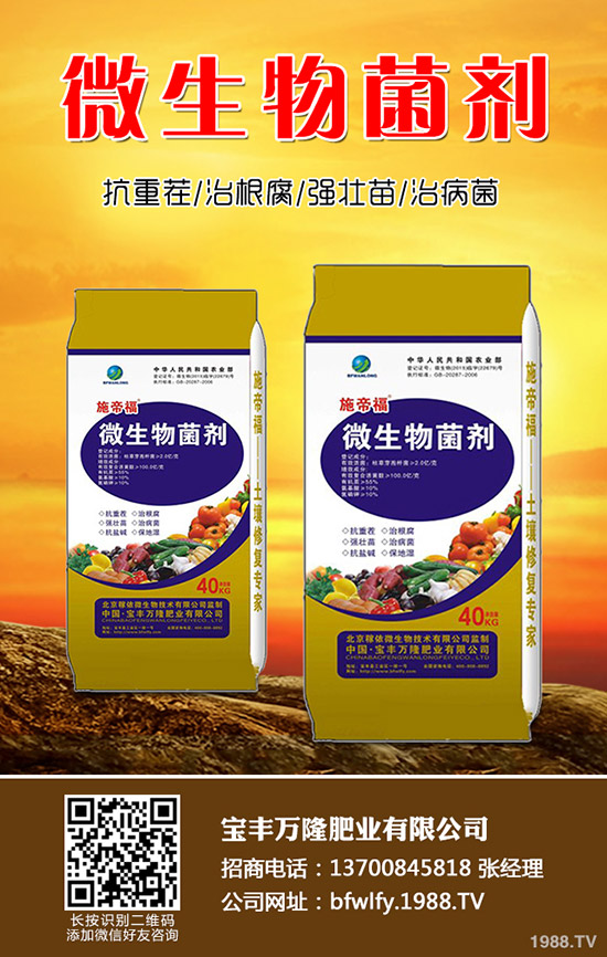 西蘭花種植方法有哪些?西蘭花種植注意事項(xiàng)!