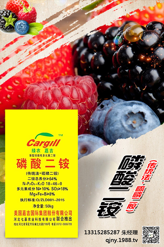 С����ʲô����(ji��)���N������Щ�Nֲ������