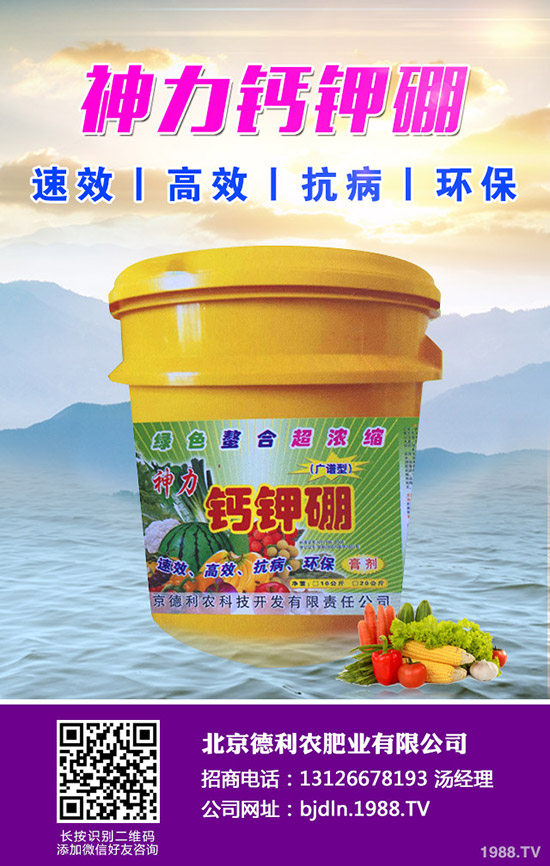 平菇栽培什么環(huán)境好 ，平菇栽培環(huán)境要求及技巧