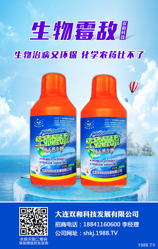 平菇種植其實(shí)不難，注意這幾點(diǎn)，產(chǎn)量會(huì)很高！