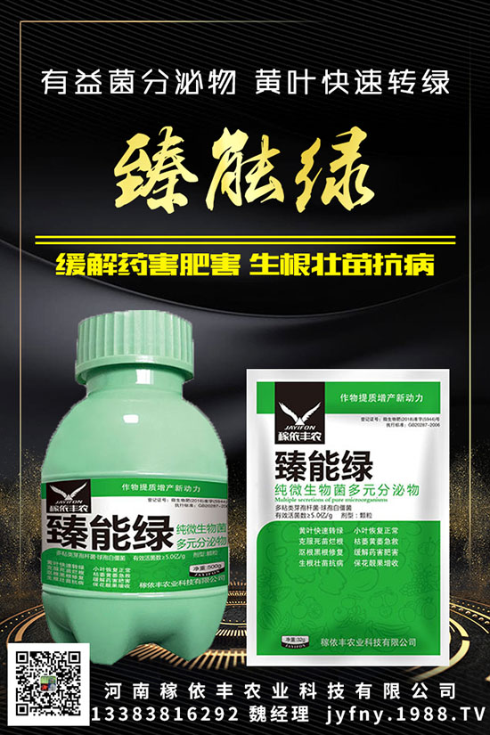 ��N�S�ʺܳ�Ҋ(ji��n)��Ԫ�غ�������������Ҫ֪���c(di��n)�M(j��n)��(l��i)������