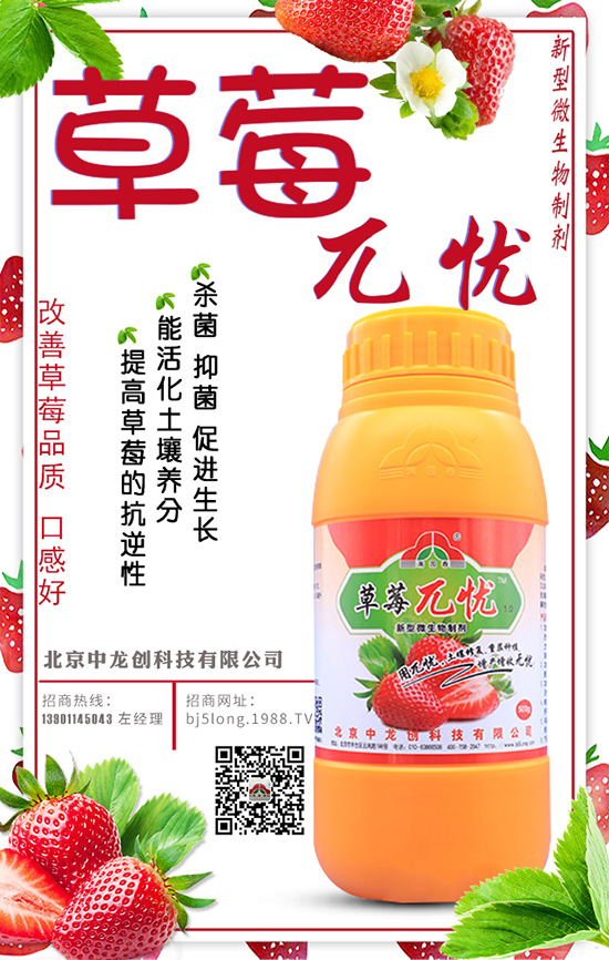 ��ݮ�������� ��ݮ������ʩ