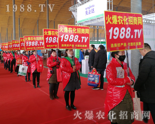     2019��30�úӱ�ֲ����(hu��)�����r(n��ng)���W(w��ng)Ҋ�C�ИI(y��)ʢ��(hu��)�ل�(chu��ng)�ѿ���