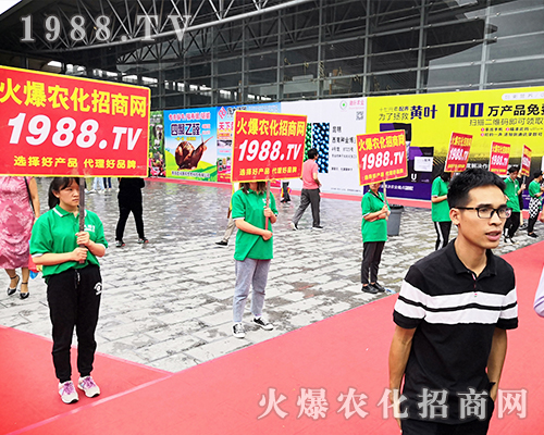     ���r(n��ng)�����̾W(w��ng)��2019�����r(n��ng)�Y��(hu��)�����G�ؼ����ի@�M�M